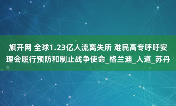 旗开网 全球1.23亿人流离失所 难民高专呼吁安理会履行预防和制止战争使命_格兰迪_人道_苏丹