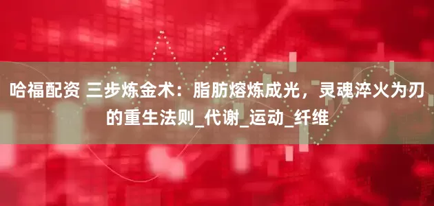 哈福配资 三步炼金术：脂肪熔炼成光，灵魂淬火为刃的重生法则_代谢_运动_纤维