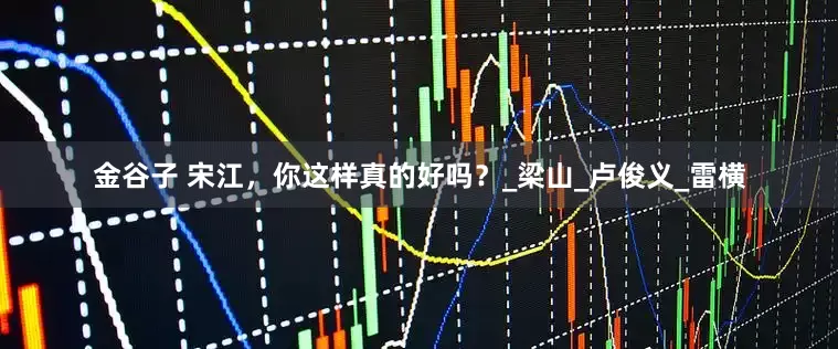 金谷子 宋江，你这样真的好吗？_梁山_卢俊义_雷横