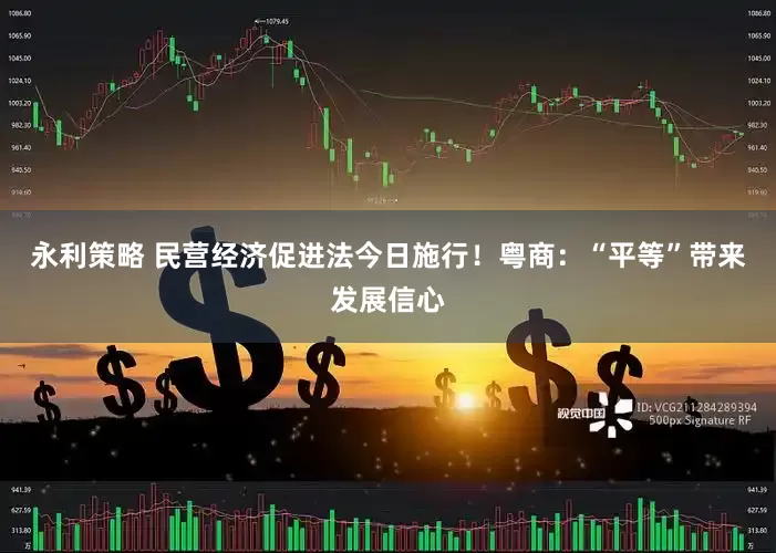 永利策略 民营经济促进法今日施行！粤商：“平等”带来发展信心