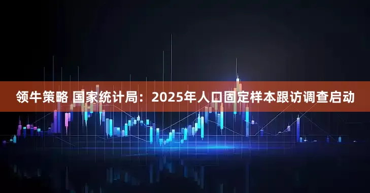领牛策略 国家统计局：2025年人口固定样本跟访调查启动