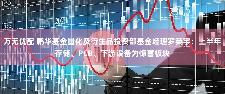 万无优配 鹏华基金量化及衍生品投资部基金经理罗英宇：上半年存储、PCB、下游设备为惊喜板块