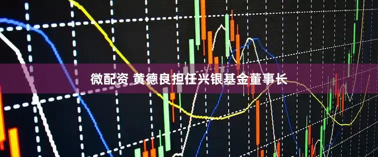 微配资 黄德良担任兴银基金董事长